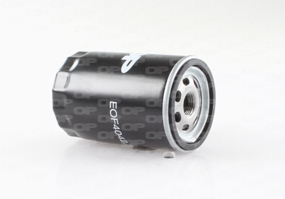 Oil Filter (EOF4042.20)