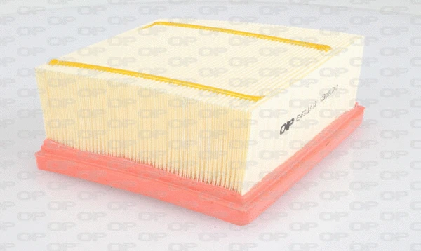 Air Filter (EAF3216.10)