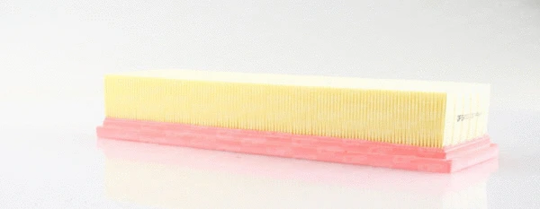 Air Filter (EAF3151.10)
