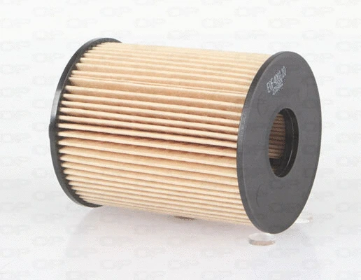 Oil Filter (EOF4001.10)