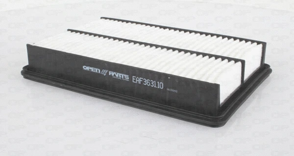 Air Filter (EAF3631.10)