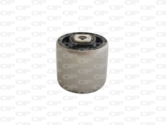 Mounting, control/trailing arm (SSS1150.11)