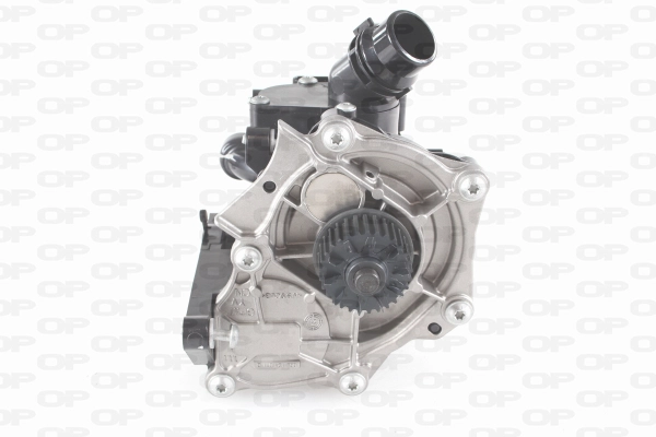 Thermostat, coolant (TRM1183.01)