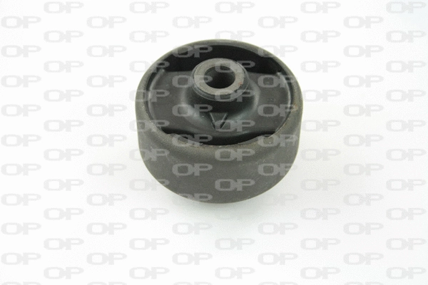 Mounting, control/trailing arm (SSS1039.11)
