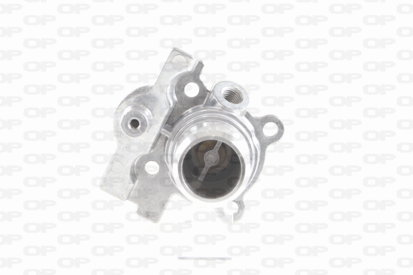 Thermostat, coolant (TRM1164.00)