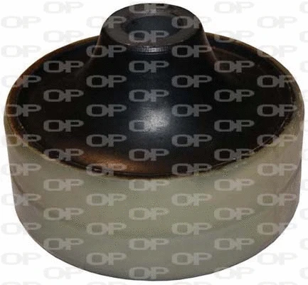 Mounting, control/trailing arm (SSS1029.11)