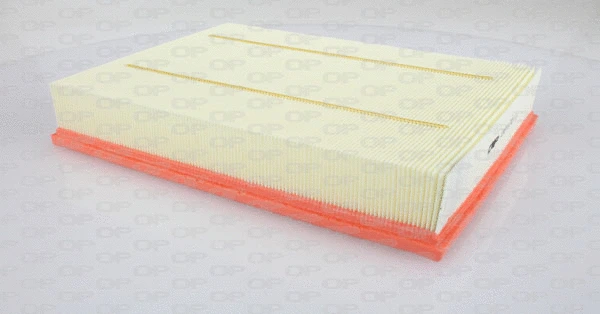Air Filter (EAF3111.10)