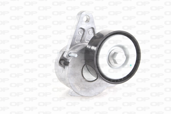 Belt Tensioner, V-ribbed belt (ACT2269.00)