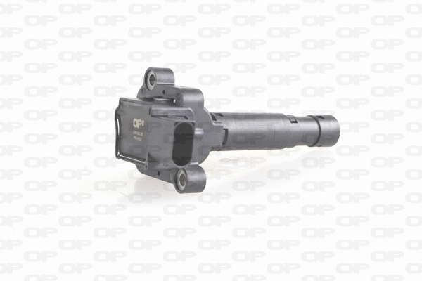 Ignition Coil (IGN1053.00)
