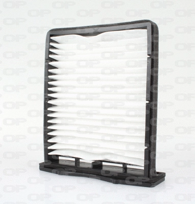 Filter, cabin air (CAF2170.01)