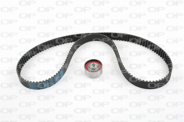 Timing Belt Kit (TBK5002.01)