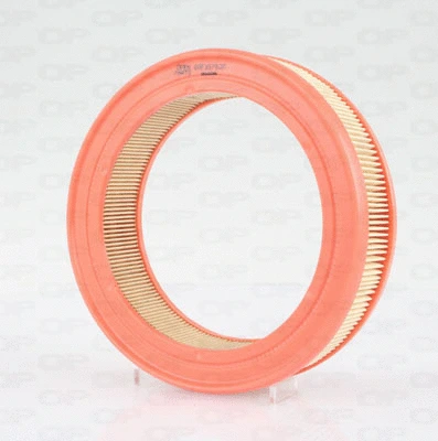 Air Filter (EAF3579.20)