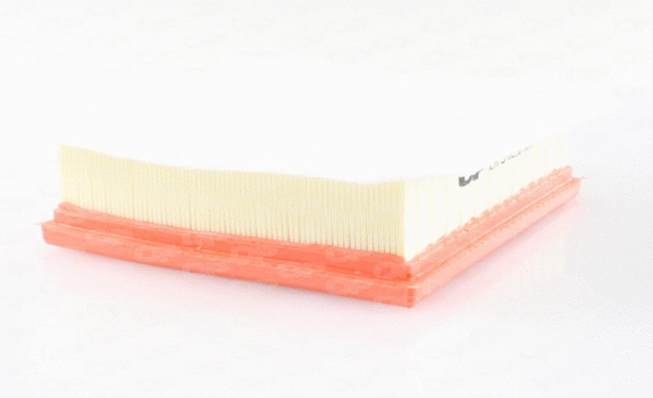 Air Filter (EAF3462.10)