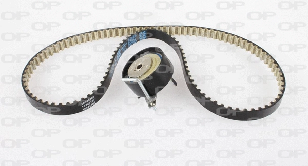 Timing Belt Kit (TBK5159.11)