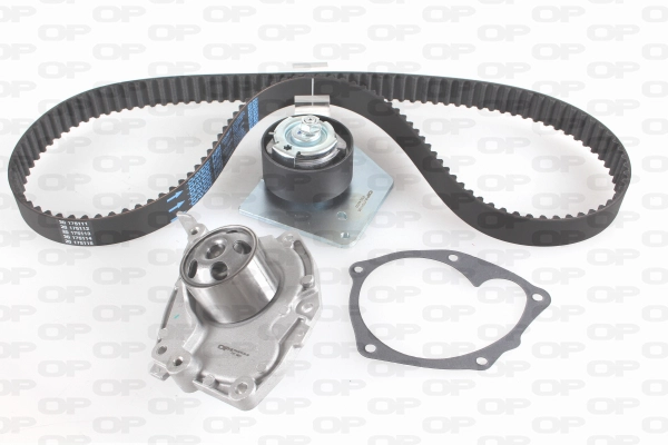 Water Pump & Timing Belt Kit (WTBK5102.00)
