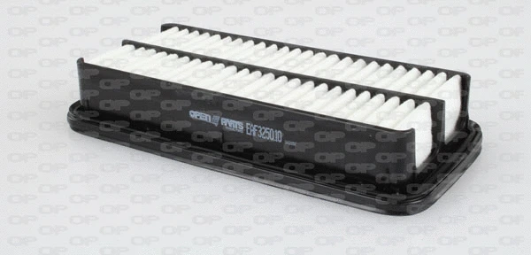 Air Filter (EAF3250.10)