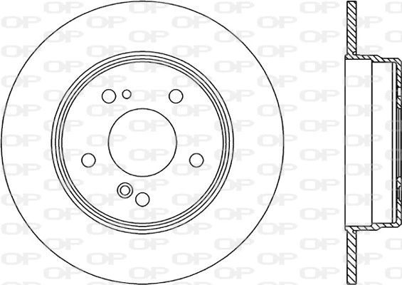 Brake Disc (BDR1317.10)