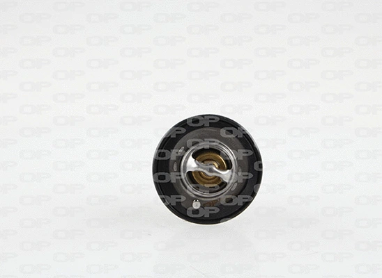 Thermostat, coolant (TRM1150.00)