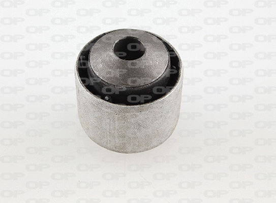 Mounting, control/trailing arm (SSS1154.11)