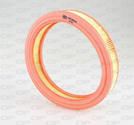 Air Filter (EAF3196.20)