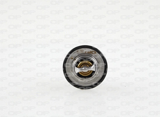 Thermostat, coolant (TRM1115.00)