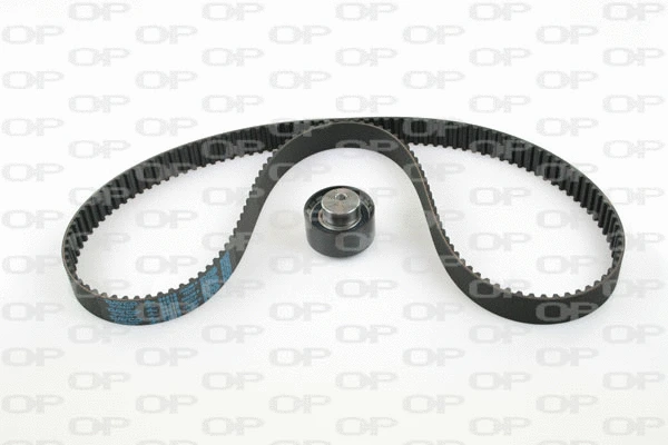 Timing Belt Kit (TBK5011.01)