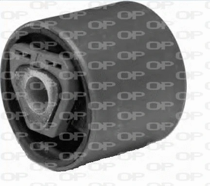 Mounting, control/trailing arm (SSS1036.11)