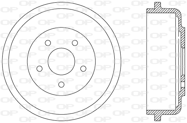Brake Drum (BAD9073.10)