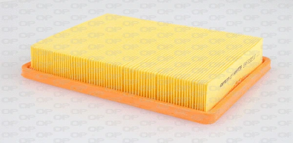 Air Filter (EAF3315.10)