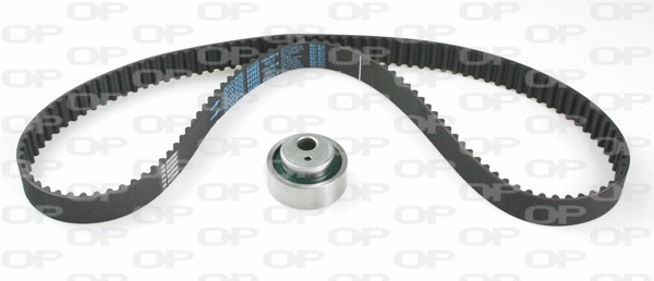 Timing Belt Kit (TBK5103.01)