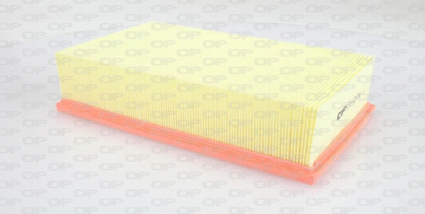 Air Filter (EAF3267.10)