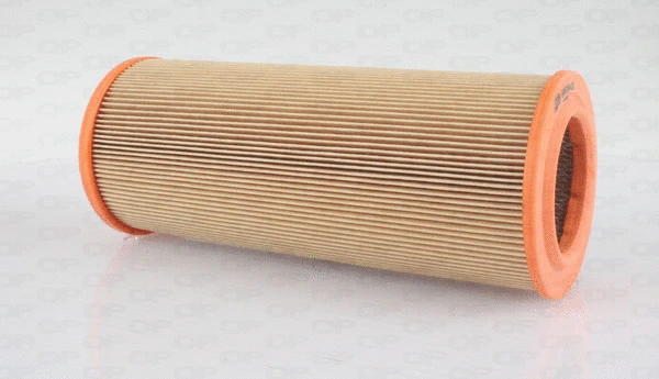 Air Filter (EAF3584.20)