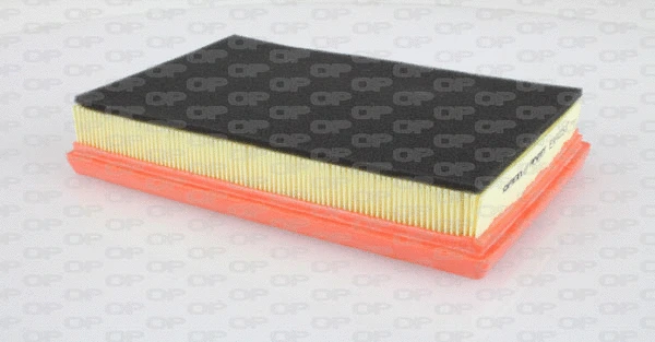 Air Filter (EAF3115.10)