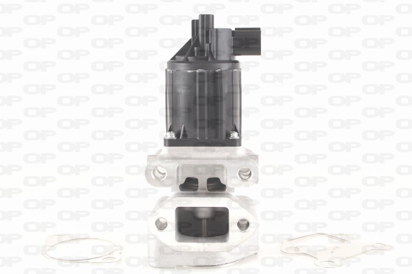 EGR Valve (EGR3037.00)