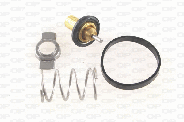 Thermostat, coolant (TRM1129.00)
