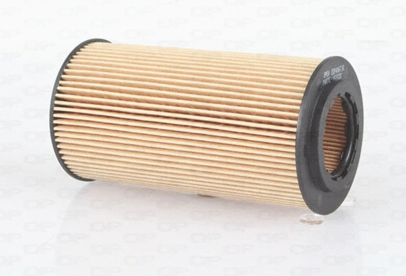 Oil Filter (EOF4067.10)