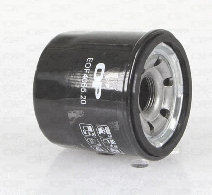 Oil Filter (EOF4065.20)