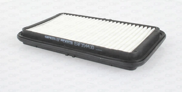 Air Filter (EAF3544.10)