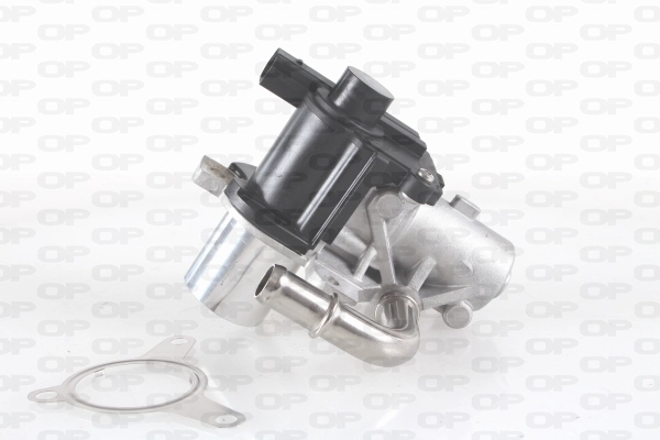 EGR Valve (EGR3019.00)