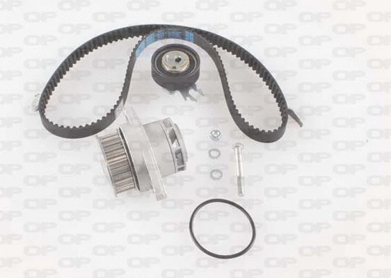 Water Pump & Timing Belt Kit (WTBK5019.00)