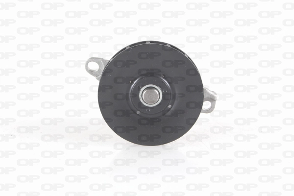 Water Pump, engine cooling (WAP8637.00)
