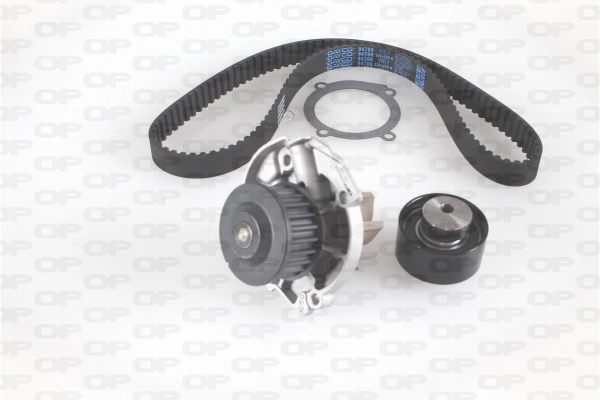 Water Pump & Timing Belt Kit (WTBK5011.00)