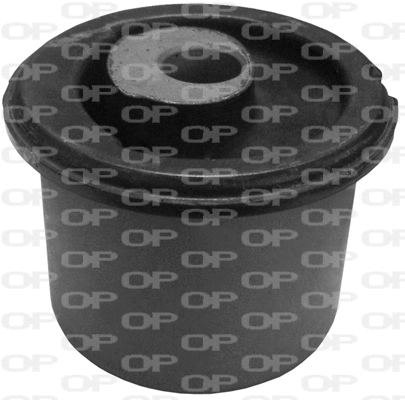 Mounting, control/trailing arm (SSS1061.11)