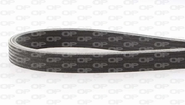 V-Ribbed Belt (PVBD1817.06)