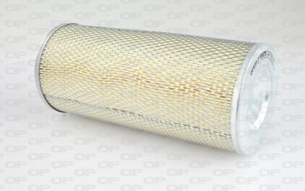 Air Filter (EAF3258.20)