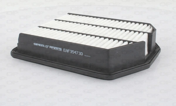 Air Filter (EAF3547.10)