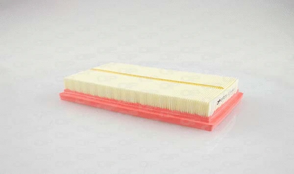 Air Filter (EAF3711.10)