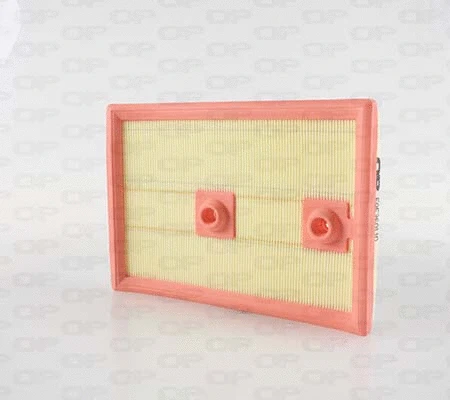 Air Filter (EAF3601.10)