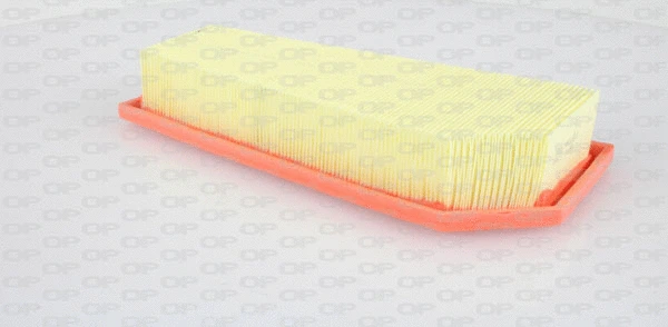 Air Filter (EAF3331.10)