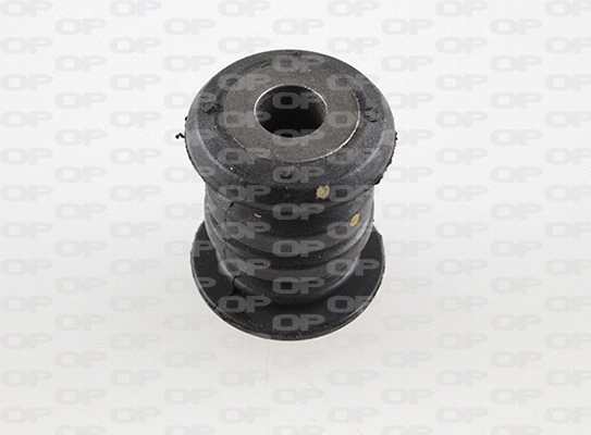 Mounting, control/trailing arm (SSS1173.11)